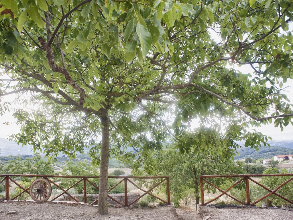 Casa Vacanze Toscana Il Puggio Villa Capolona Room photo